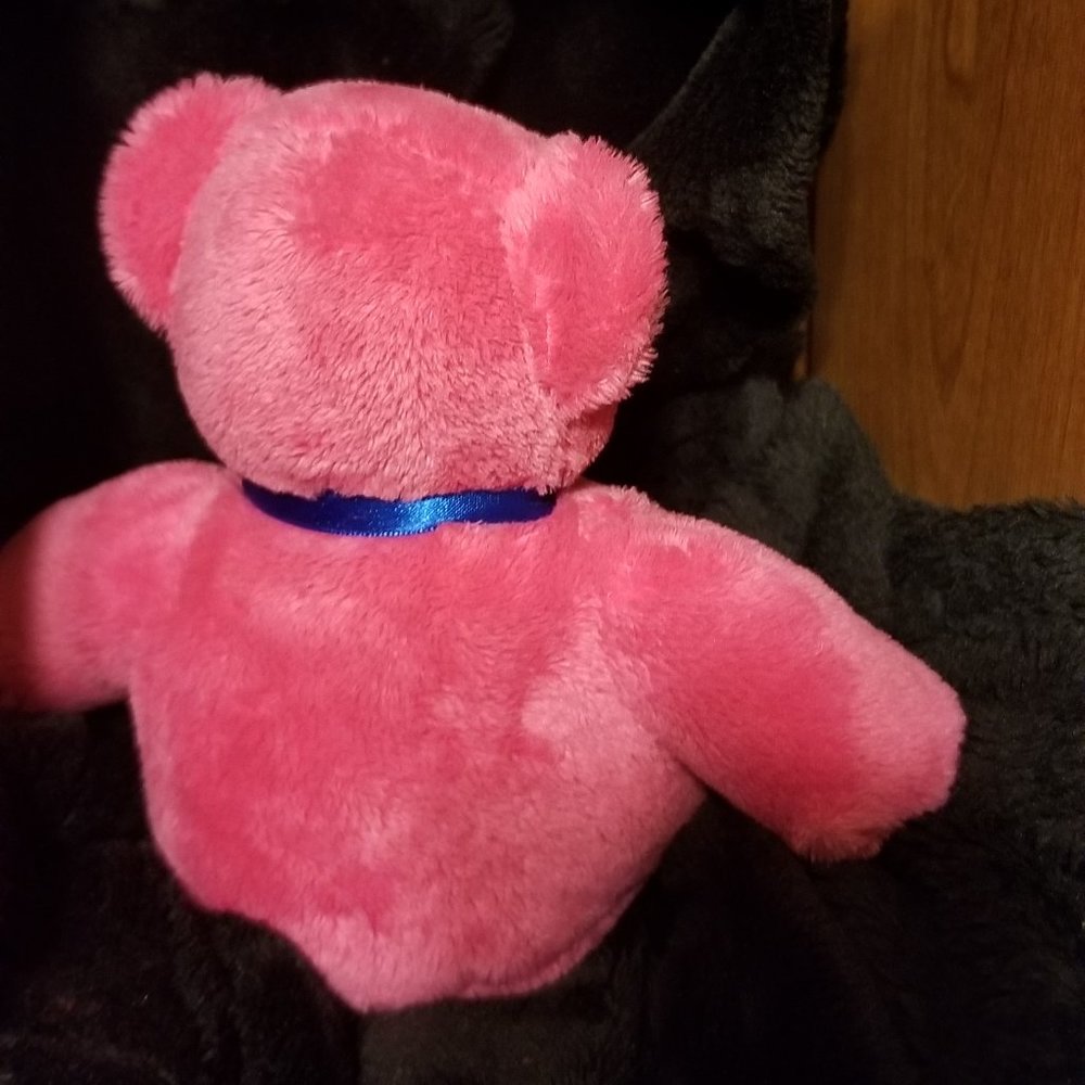 COPY - Nashville Teddy Bear - Picture 3 of 6